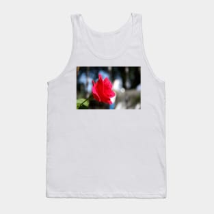 Bright and Colorful RED ROSE close up Tank Top